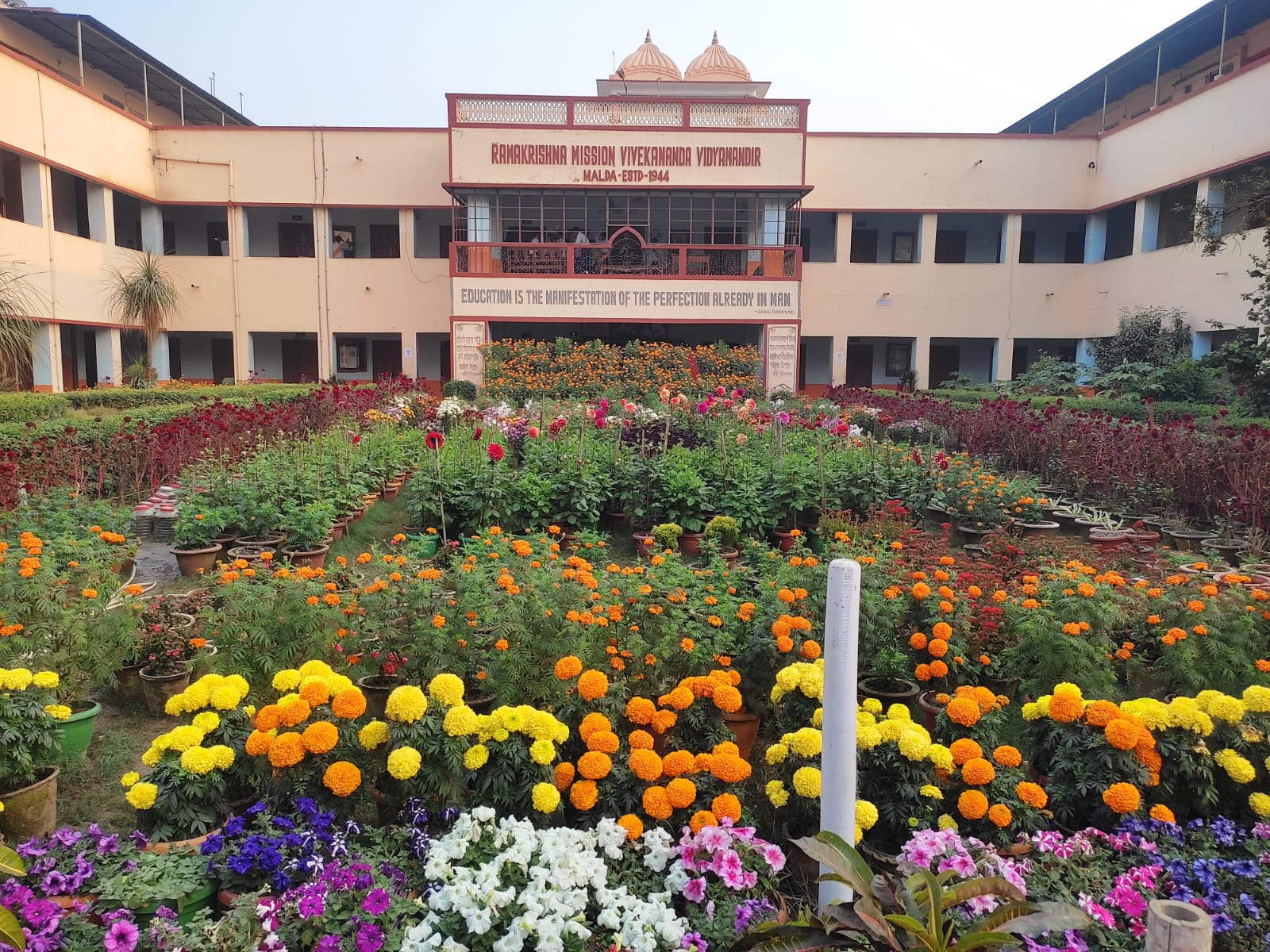 Nature View